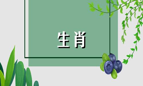 80年的猴女2021年将会有一个糟糕的1980年猴女2022年的旅程