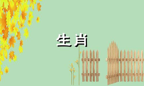 1966马和2021的命运是什么