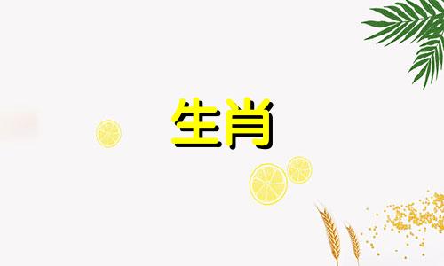 74生肖虎和什么是最好的搭配