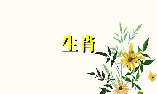1997年24岁出生年属牛年2021年生命之年爱情与事业
