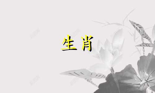 2021年牛年需要注意什么