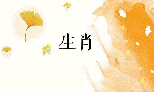 81是属鸡人40年后的好运1981是属鸡人2021年的财运和财运