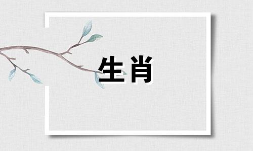 1992年属猴的生活是怎样的?