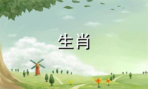 属鼠的人是否容易离婚