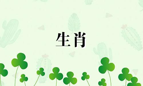 2008年属鼠的生活是什么,08年属鼠女人的生活是什么?