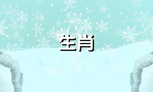 95年小猪寻找约会地点95年男孩寻找约会