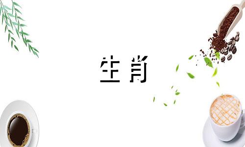为什么属龙是可爱的动物?谁是命中注定的爱人?