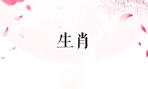 猪男孩出生吉日猪男孩出生吉日