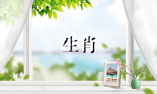 兔年牛年生运99年22岁属兔男2021年你的运势