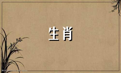 蛇出生的最糟糕的月份和时间