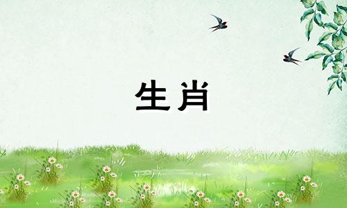 蛇命远离这个人最怕什么生肖