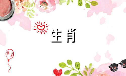 公蛇与母兔的婚姻是否匹配公蛇与母兔的婚姻