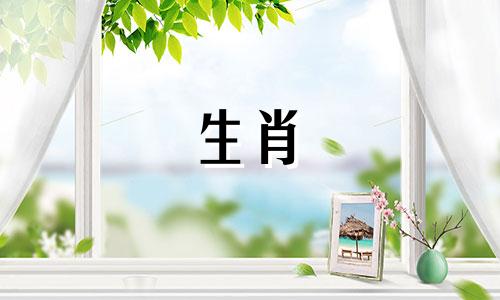 绵羊真的不能生两个孩子吗?