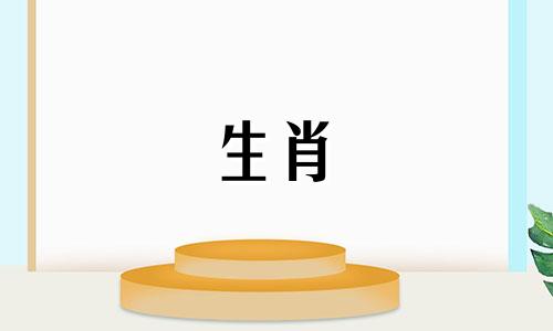 1975每只兔子一生中都会有第二次婚姻2021年的婚姻状况如何