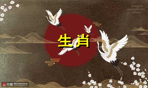 属龙人最喜欢的星座女孩哪个星座女孩属龙人最喜欢的