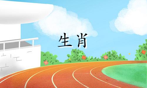 82年是一只狗。2022年下半年你的运势如何?