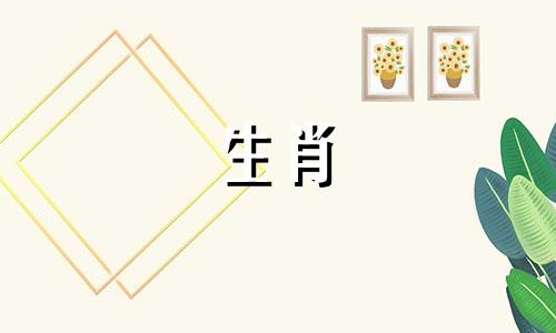 1982年与狗男出轨的结果