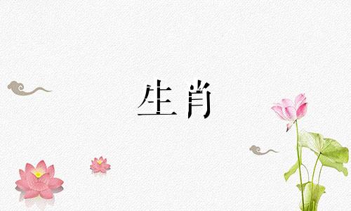 属龙侠2022年下半年无灾出货分析