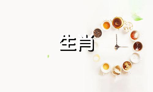结婚兔子2022年桃花下半年感情运势详解