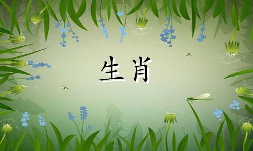 84岁是属鼠37岁有灾难2021年是属鼠2021年旅程详情