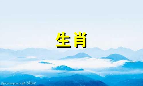 49岁猪灾是怎么处理全年运势详细