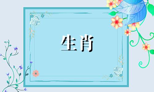 91年是羊,那2021年占星人呢