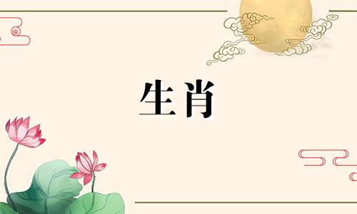 2022年下半年的分手真的是重归于好的机会吗