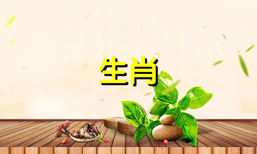 1980年猴年2021年的寿命是多少有灾难吗