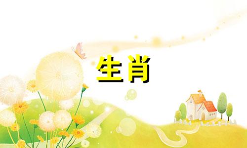 1988年属龙女第二次结婚是什么时候?