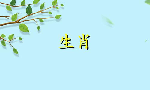 九月的属鼠是什么意思?生命的命运是什么?