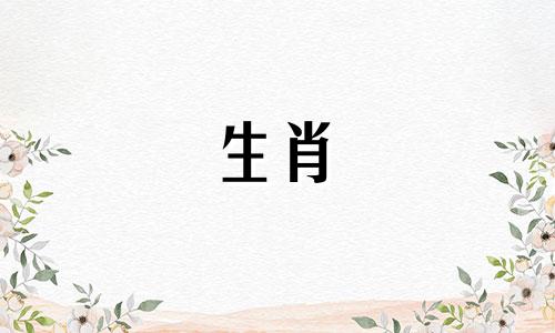 猪妈妈不能生属牛宝宝吗?