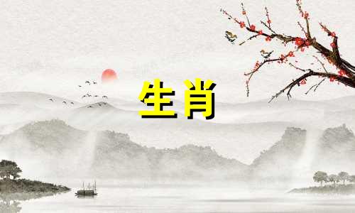 82年狗能活多久?2022年下半年会有灾难吗?