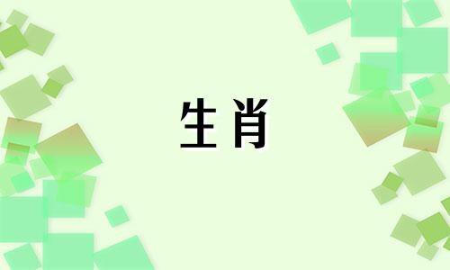 狗狗最擅长什么属相?狗狗最擅长什么属相?