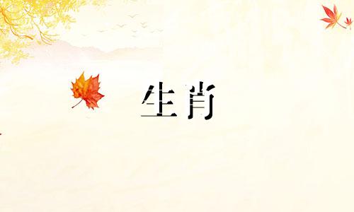 父亲是鸡，孩子是虎，好吗?