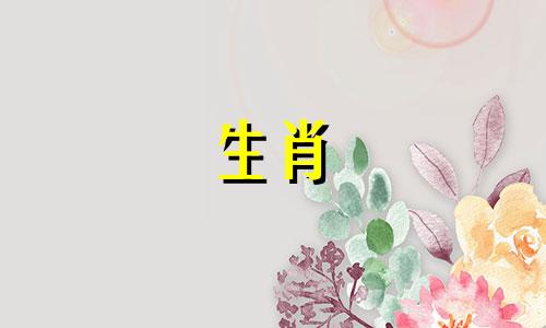 虎女十月八败?解决方案是什么?