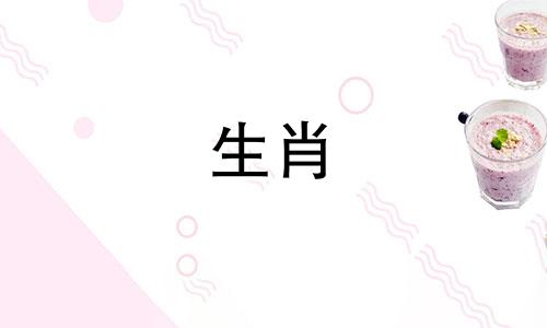 哪个月出生的女鼠财运旺哪个月出生的女鼠老公最旺