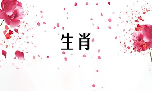 属鼠和属虎一起繁荣吗?属鼠和属虎生意兴隆吗?