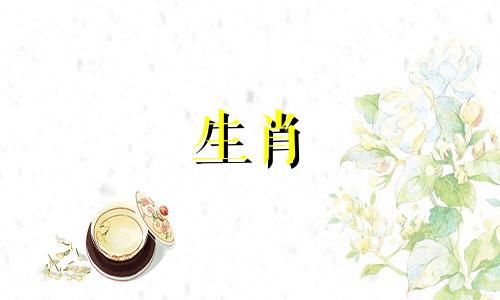 88岁父母生的牛宝宝不适合怀孕什么生肖