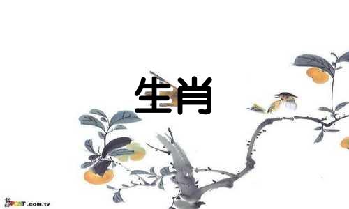 12月的属鼠女孩的生活好吗?如何解决生活中的铁扫帚问题?