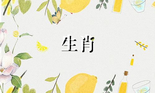 什么时候猪被祝福出生什么时候猪女孩被祝福出生