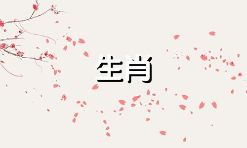 猪宝宝哪一个月出生最忌讳?