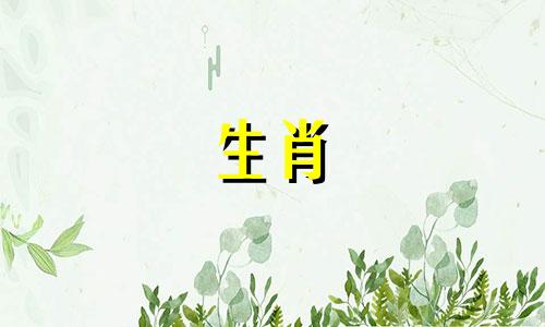 马女适合的职业是什么做什么行业都可以跟随