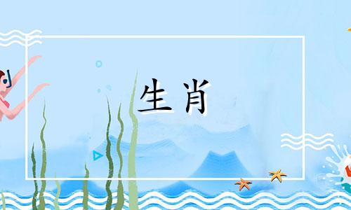 属龙能穿属龙吗?穿什么最好?