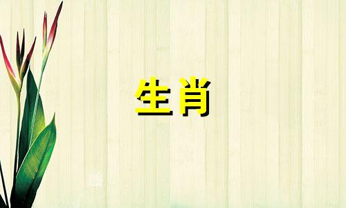 公鸡什么时候要生孩子?有几个孩子?