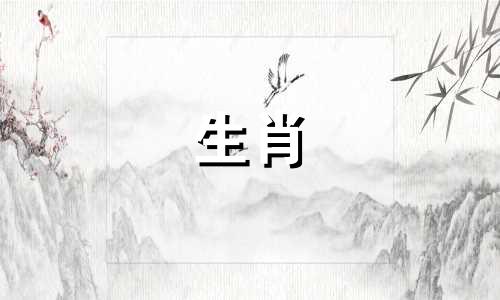 属龙和狗的孩子擅长解决矛盾