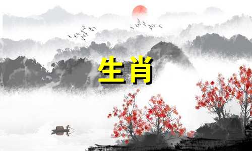 虎女会离婚是因为什么二婚能好