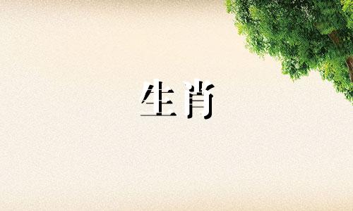 82年狗年女人高贵生肖82年狗年2021幸运生肖