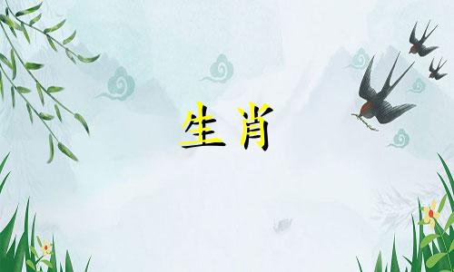 猪女适合什么工作职业发展好