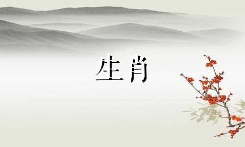 猪玉属龙能变属龙是什么意思?