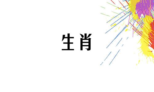 属虎和属龙在做生意赚钱吗?属龙和虎一起发财了吗?